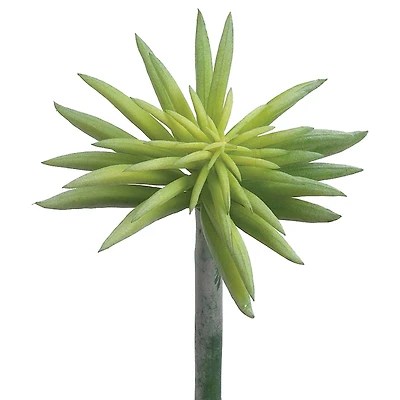 6" Soft Touch Green Gray Starburst Succulent Pick