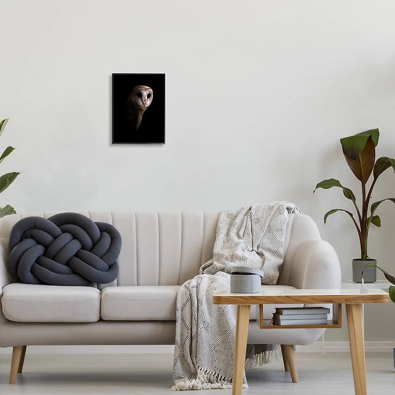 Stupell Industries Intense Barn Owl Black Shadow Photography Framed Giclee Art
