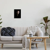 Stupell Industries Intense Barn Owl Black Shadow Photography Framed Giclee Art
