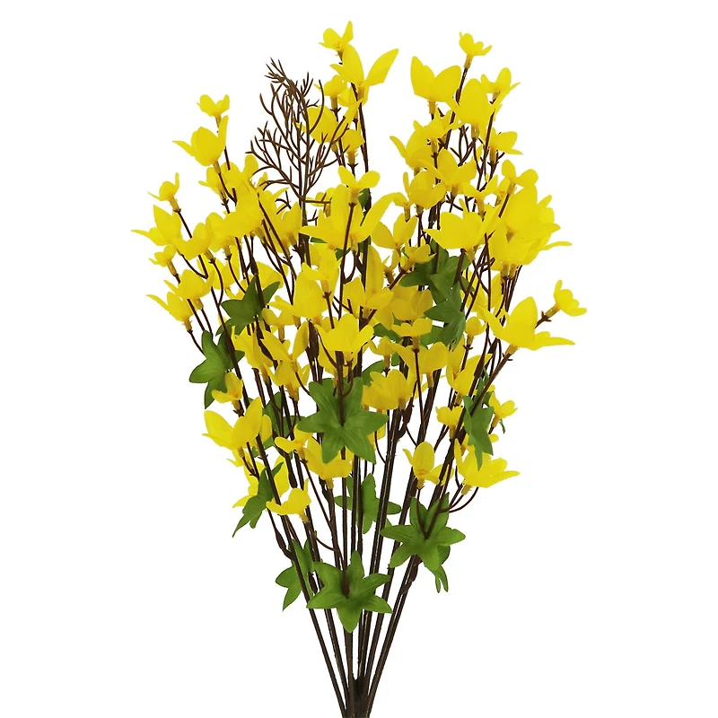 21" Forsythia Bush by Ashland