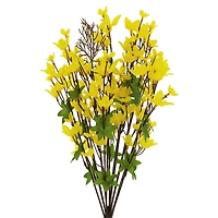 21" Forsythia Bush by Ashland