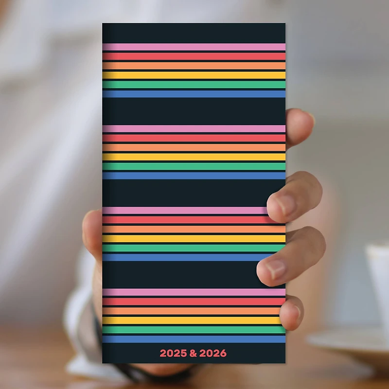 TF Publishing 2025-2026 Small Retro Stripe Monthly Pocket Planner