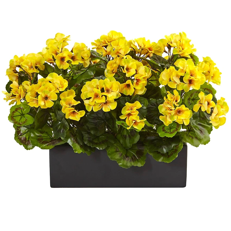 13" Yellow Geranium in Rectangular Planter