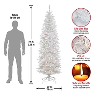 7.5 ft. Pre-Lit Kingswood™ White Fir Pencil Artificial Christmas Tree, Clear Lights