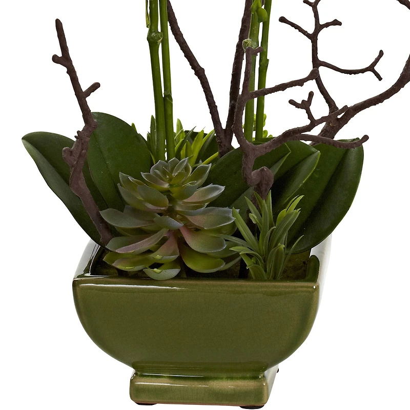 21" Orchid & Succulent Floral Arrangement in Ceramic Pot