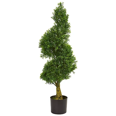 4ft. Potted Spiral Boxwood Tree