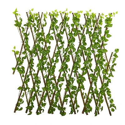 4ft. Pothos Expandable Fence