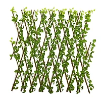 4ft. Pothos Expandable Fence