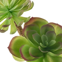 12 Pack: Assorted Red Tipped Succulent Pick by Ashland®