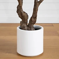 6ft. Artificial Grand Fiddle Leaf Tree in White Decorative Planter