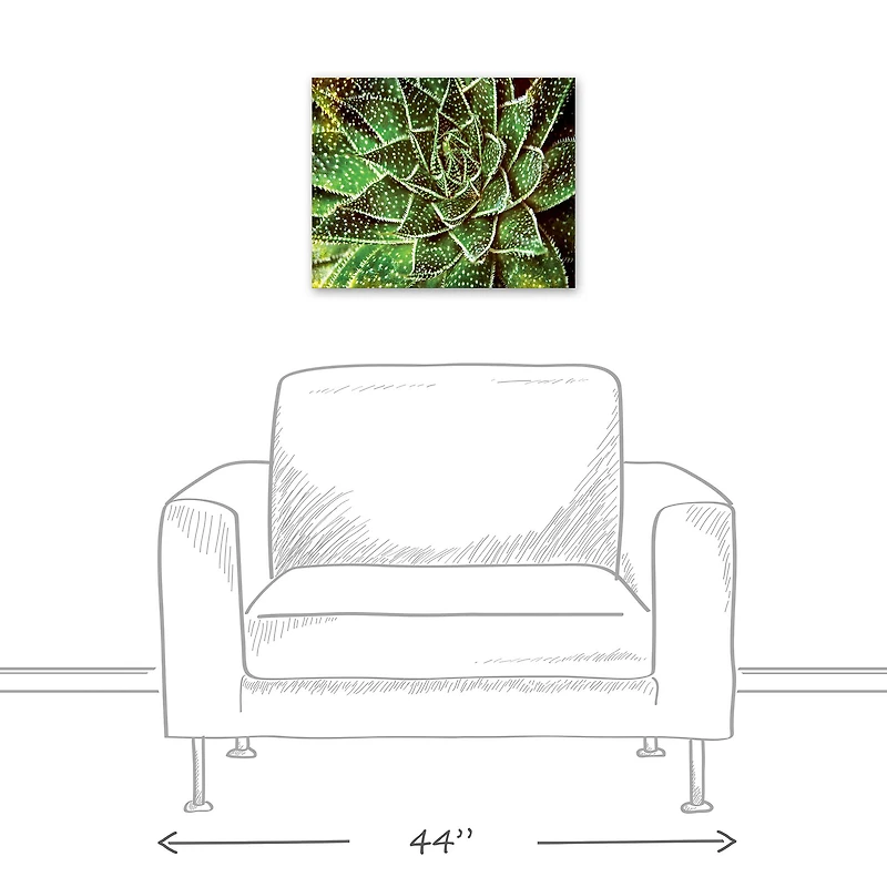Spotty Succulent 20" x 16" Canvas Wall Art