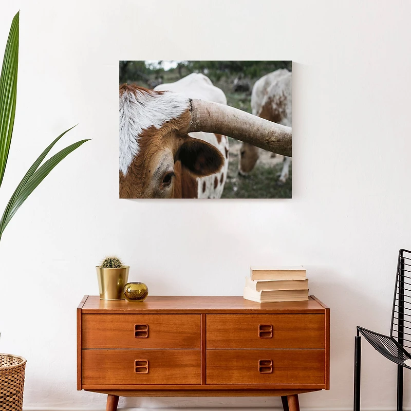 Close Up Highland 20" x 16" Canvas Wall Art