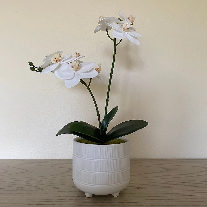 Flora Bunda® 16" Real-Touch Orchid Barcode In Ceramic Footed Pot