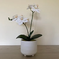 Flora Bunda® 16" Real-Touch Orchid Barcode In Ceramic Footed Pot