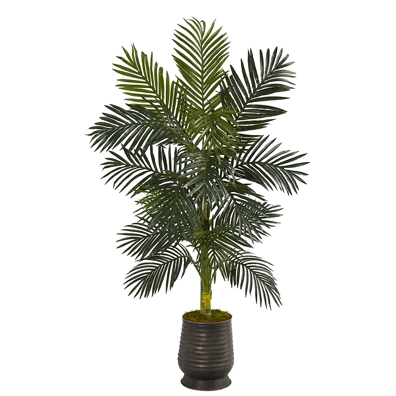 5.16ft. Golden Cane Palm Tree in Ribbed Metal Planter