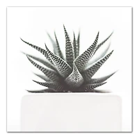 Muted Aloe Plant 20" x 20" Canvas Wall Art