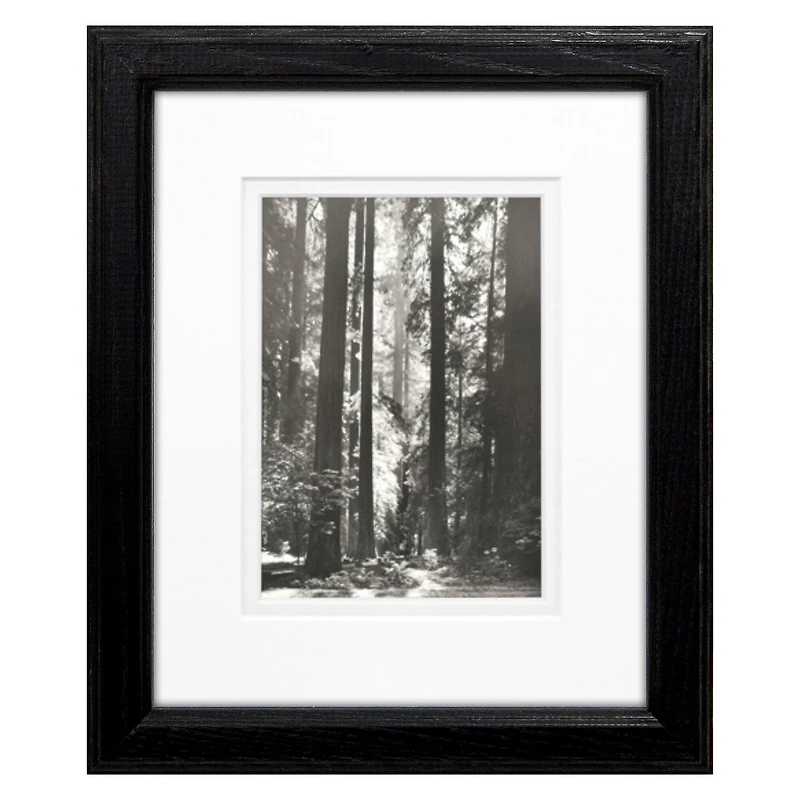Timeless Frames® Black & White Redwoods Founders Print Framed Wall Art