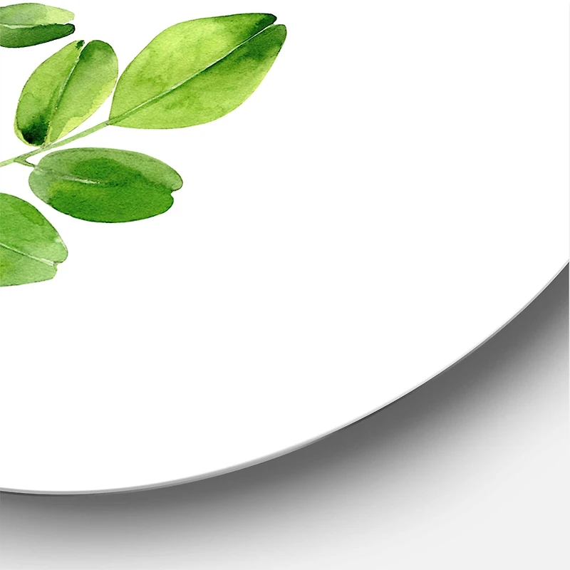 Designart - Moringa Branch Tropical Tree Foliage