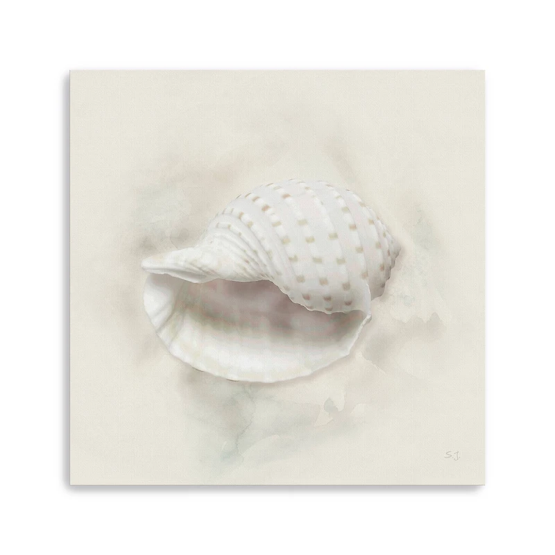 Soft Sand and Shell IV Canvas Giclee