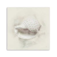 Soft Sand and Shell IV Canvas Giclee