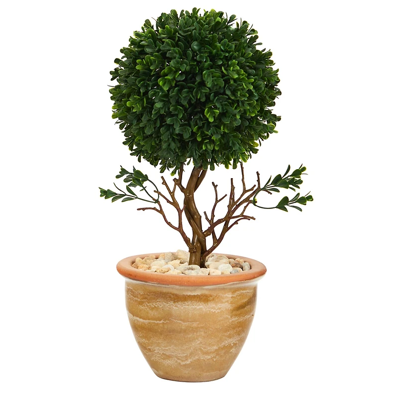 16" Boxwood Topiary Tree in Ceramic Planter