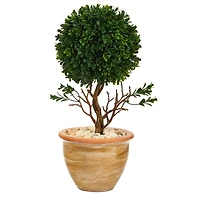 16" Boxwood Topiary Tree in Ceramic Planter