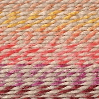 Lion Brand® Wool Ease® Thick & Quick® Bonus Bundle® Yarn