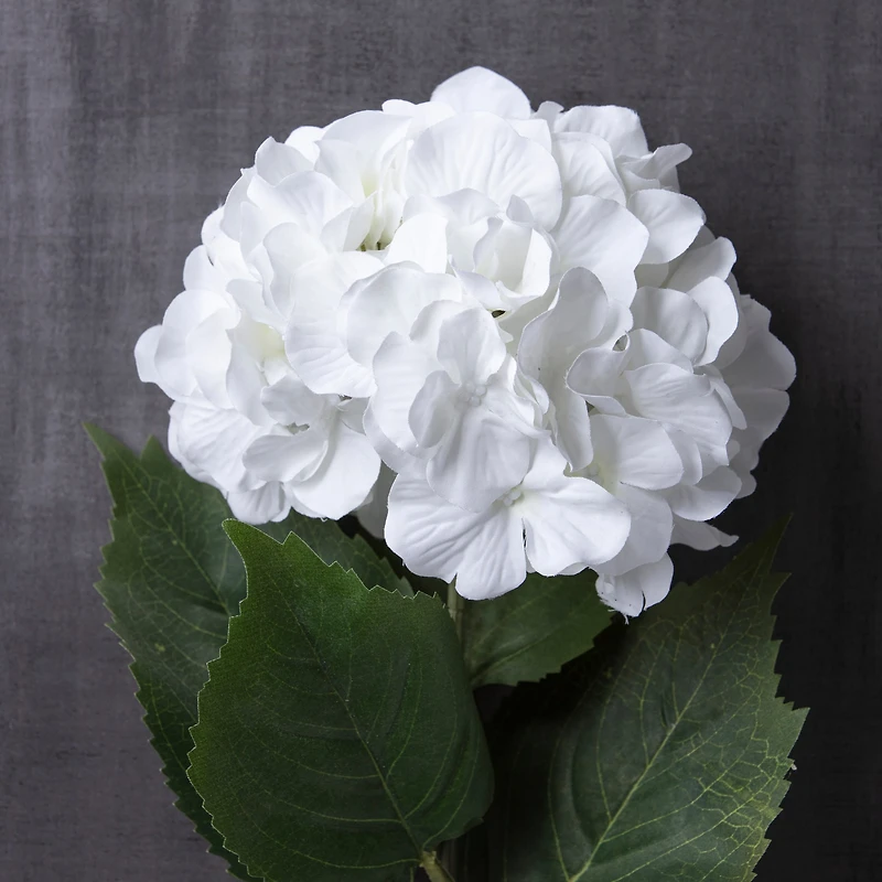 12 Pack: Classic Traditions™ White Hydrangea Stem by Ashland®