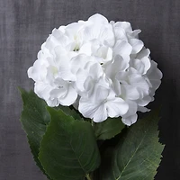 12 Pack: Classic Traditions™ White Hydrangea Stem by Ashland®