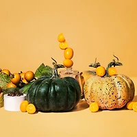 makesy Pumpkin + Persimmon Fragrance Oil