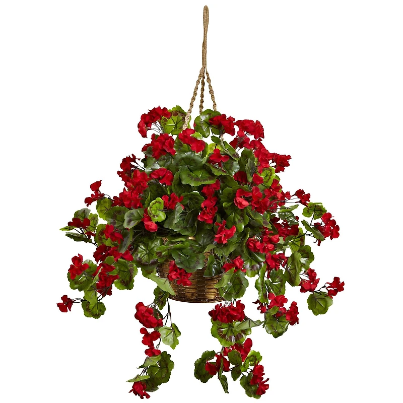 2.5ft. Geranium Hanging Basket