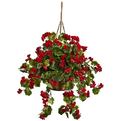 2.5ft. Geranium Hanging Basket
