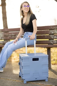 Everything Mary Blue Plastic Collapsible Cart Organizer