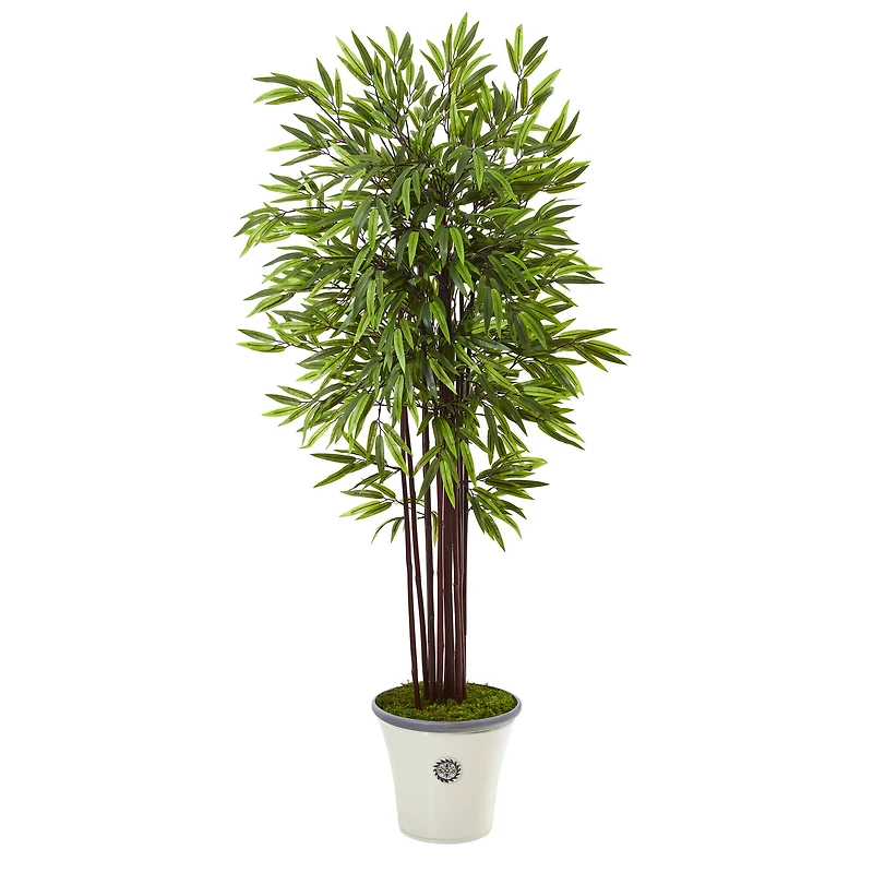 5.5ft. Bamboo Tree in Decorative Planter