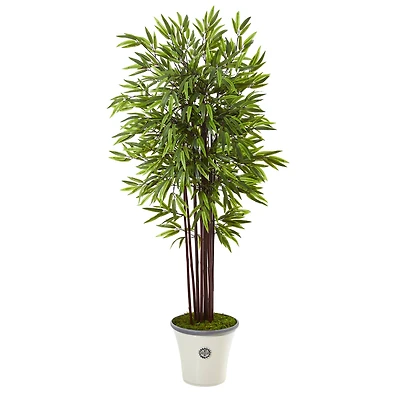 5.5ft. Bamboo Tree in Decorative Planter