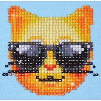 Diamond Dotz® Kool Kat Diamond Painting Kit