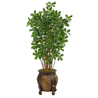 4.5ft. Black Olive Tree in Decorative Planter