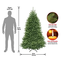 6.5ft. Unlit Dunhill® Fir Full Artificial Christmas Tree