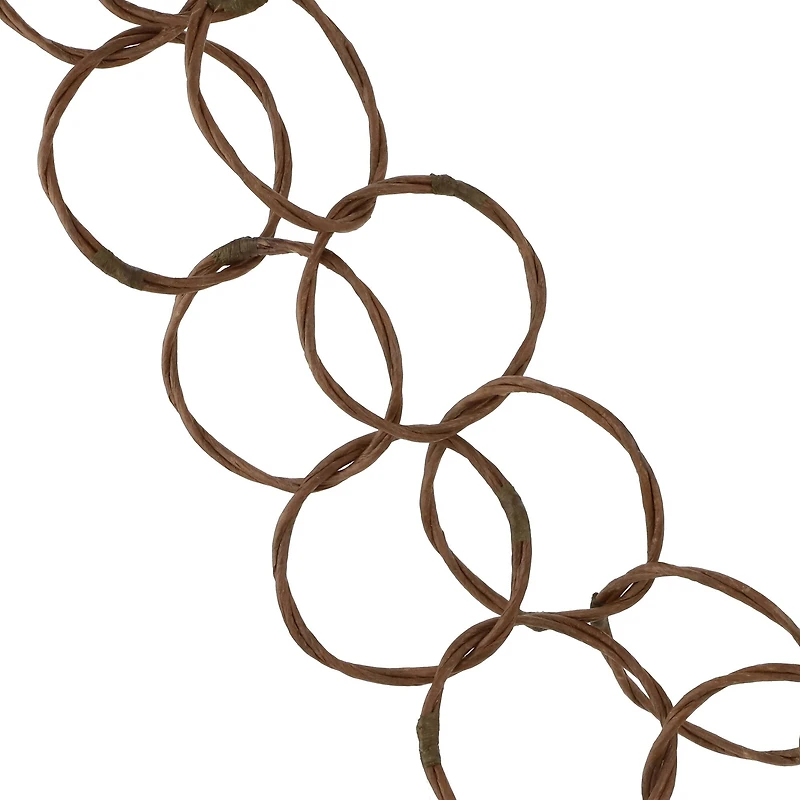 6ft. Brown Ring Vine Garland by Ashland®