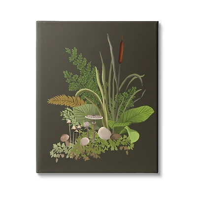 Stupell Industries Natural Forest Floor Mushrooms Ferns Canvas Wall Art