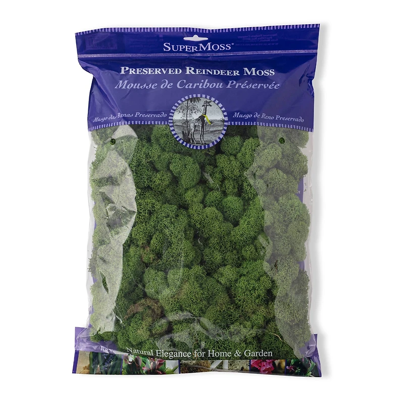 SuperMoss® 8oz. Basil Preserved Reindeer Moss