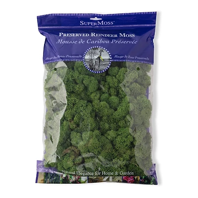SuperMoss® 8oz. Basil Preserved Reindeer Moss