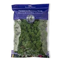 SuperMoss® 8oz. Basil Preserved Reindeer Moss