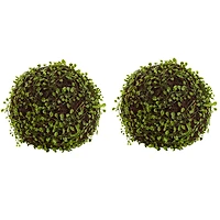 Green Wire Vine Bush, 2ct.