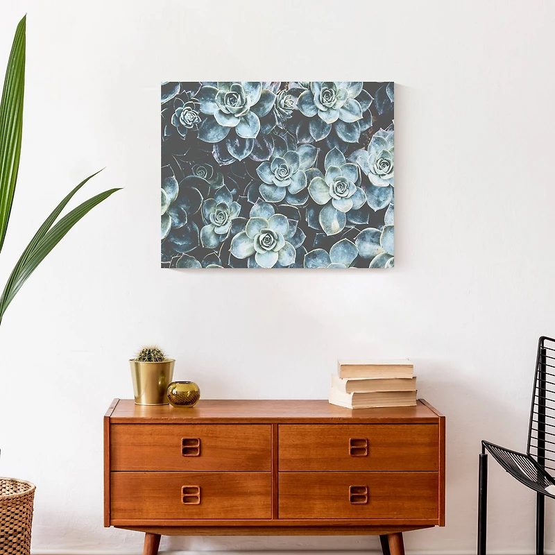 Grouping Of Succulents 20" x 16" Canvas Wall Art