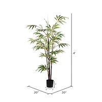 4ft. Potted Black Japanese Bamboo Tree