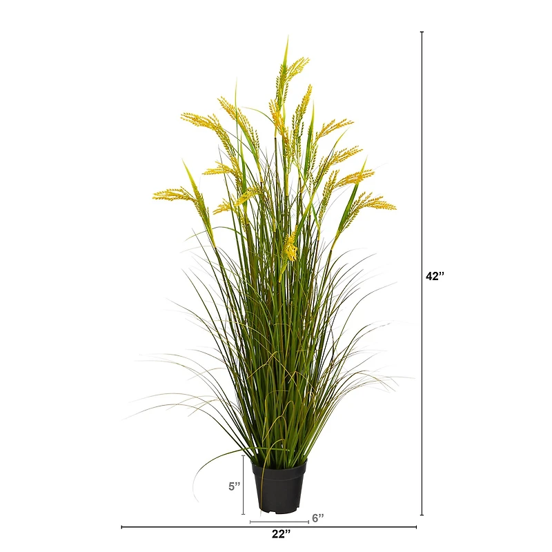 3.5ft. Potted Wheat Grain