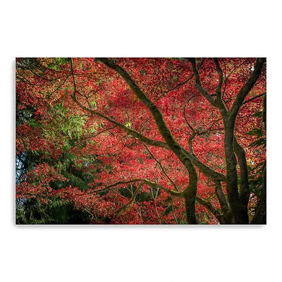 Autumn Beauty Canvas Giclee