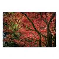 Autumn Beauty Canvas Giclee