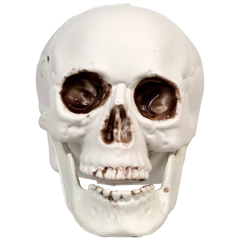 3.5'' Skull Head Halloween Decorations, 6ct.
